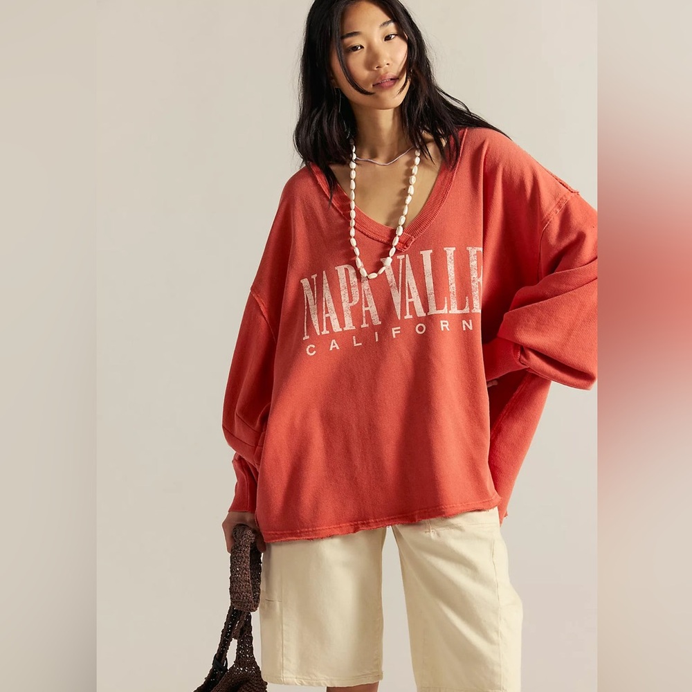 NWT We The Free Venice V-Neck Graphic Top in Rose Sienna Combo Size Large